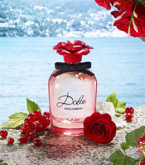 dolce dolce gabbana douglas|dolce and gabbana dolce rose.